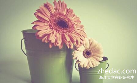 浙江大學在職研究生