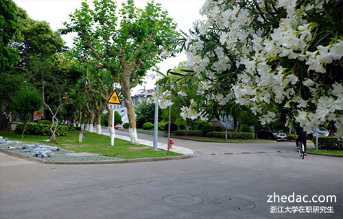 浙江大學在職研究生可以換專業(yè)嗎?