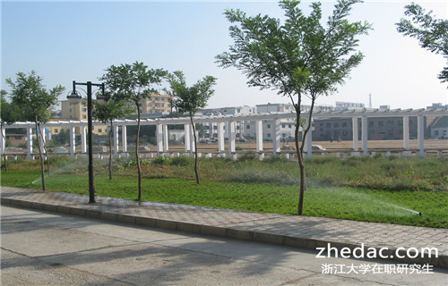 浙江大學(xué)在職研究生畢業(yè)后是什么學(xué)歷呢