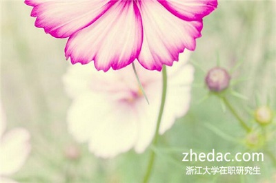 浙江大學(xué)同等學(xué)力申碩畢業(yè)后可以獲得畢業(yè)證書(shū)嗎？