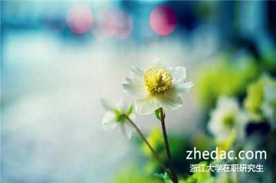 2018年報考浙江大學(xué)在職研究生有沒有用？