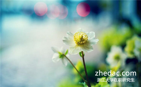 2018年浙江大學(xué)在職研究生在哪個(gè)網(wǎng)站報(bào)名？